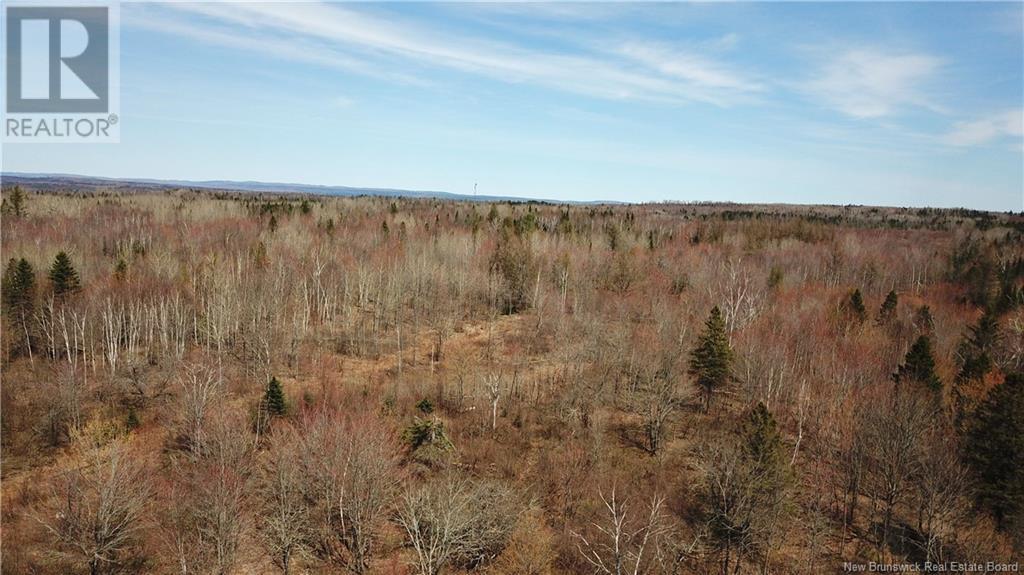 Lot 91-5 Cape Road, Newburg, New Brunswick  E7N 1W3 - Photo 3 - NB117203