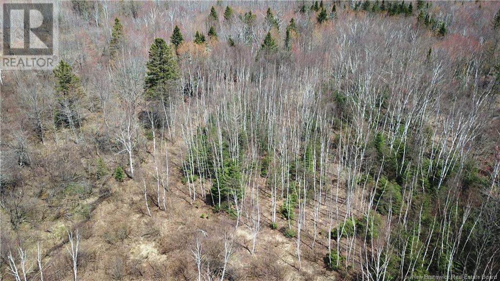 Lot 91-5 Cape Road, Newburg, New Brunswick  E7N 1W3 - Photo 4 - NB117203