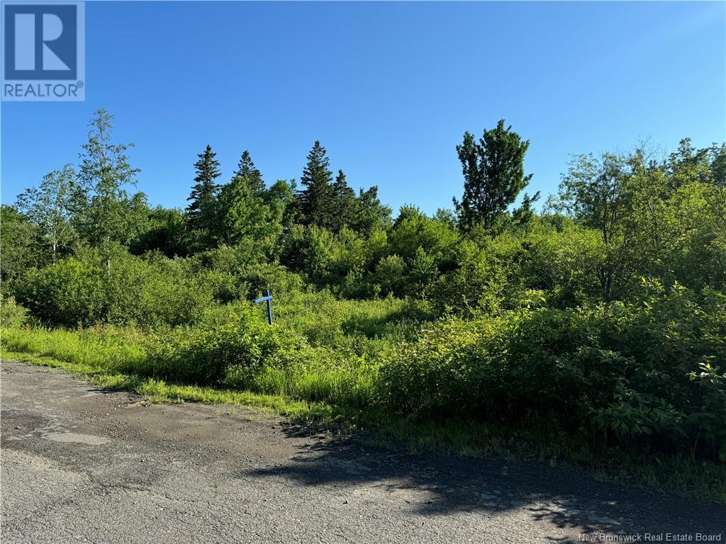 Lot 91-4 Cape Road, Newburg, New Brunswick