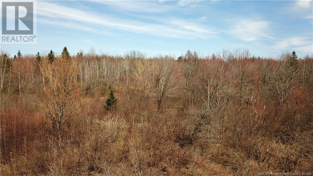Lot 91-4 Cape Road, Newburg, New Brunswick  E7N 1W3 - Photo 3 - NB117200