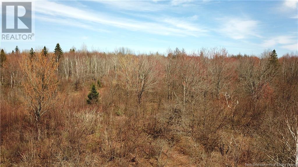 Lot 91-4 Cape Road, Newburg, New Brunswick  E7N 1W3 - Photo 4 - NB117200