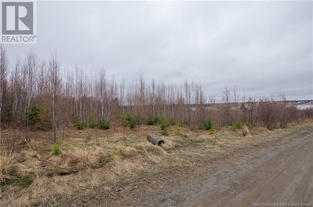 De La Montee Road, Notre-Dame, New Brunswick  E4V 1W7 - Photo 5 - NB116878