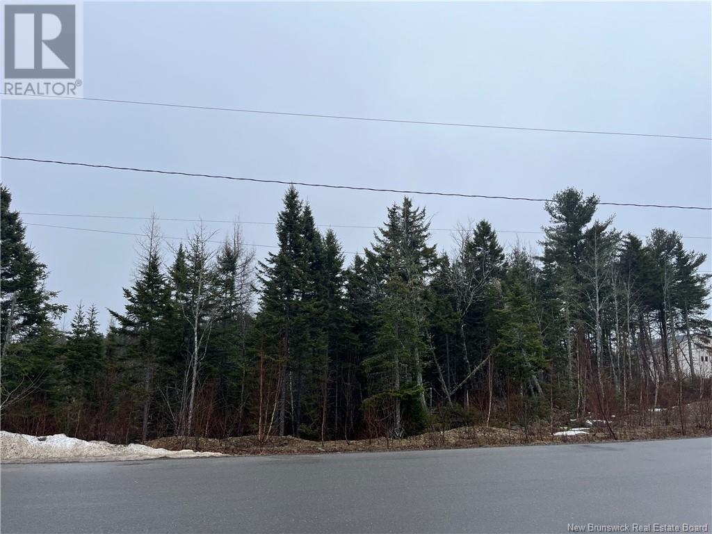 2015-05 Freedom Street, Killarney Road, New Brunswick  E3G 0Y1 - Photo 6 - NB114553