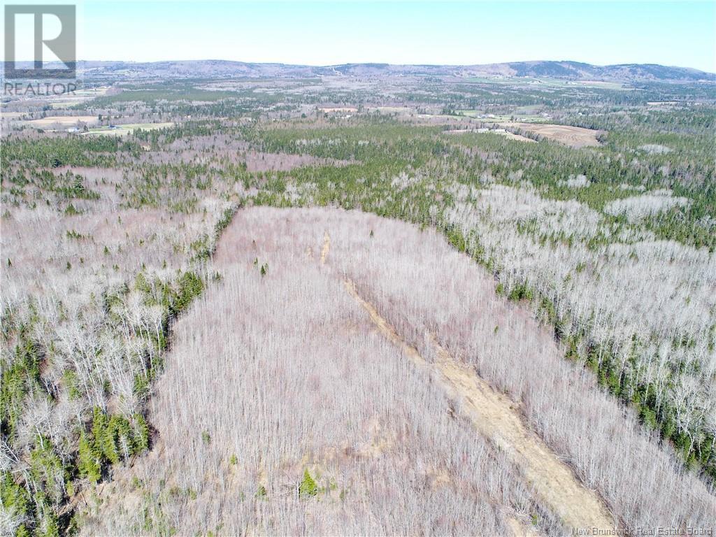 115 Creek Road, Berwick, New Brunswick  E5P 3E6 - Photo 10 - NB117435