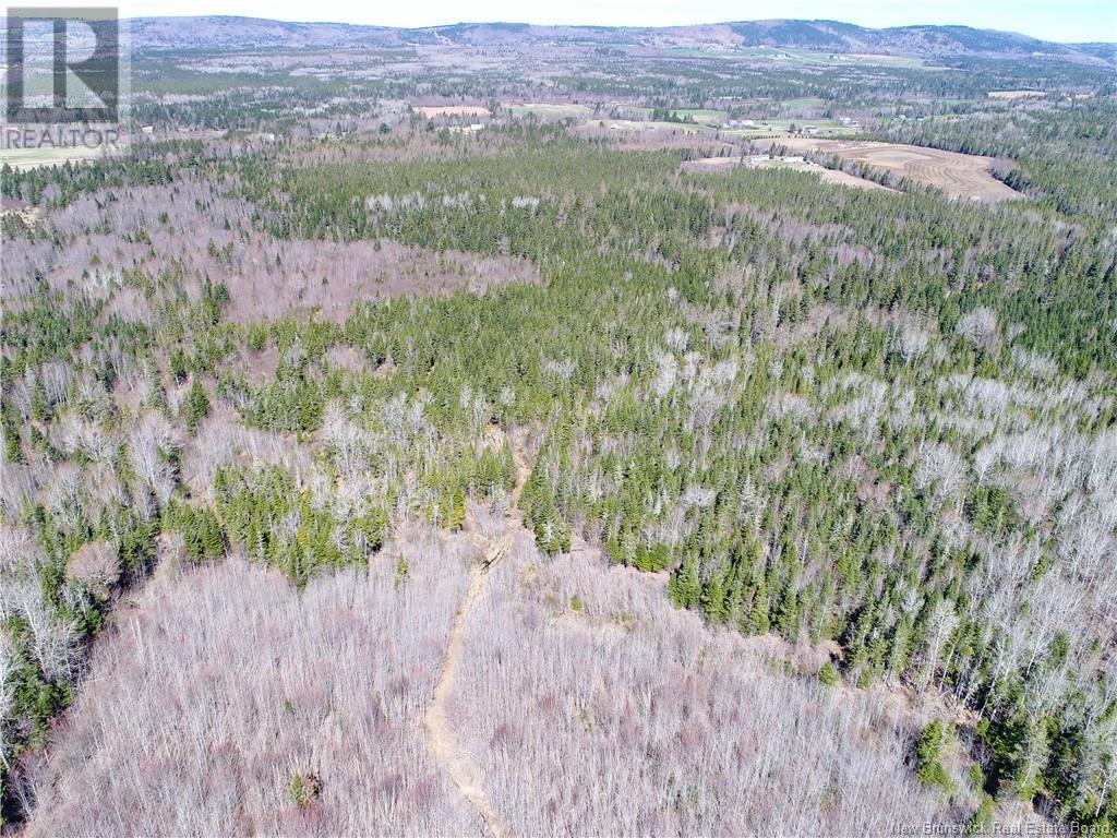 115 Creek Road, Berwick, New Brunswick  E5P 3E6 - Photo 11 - NB117435