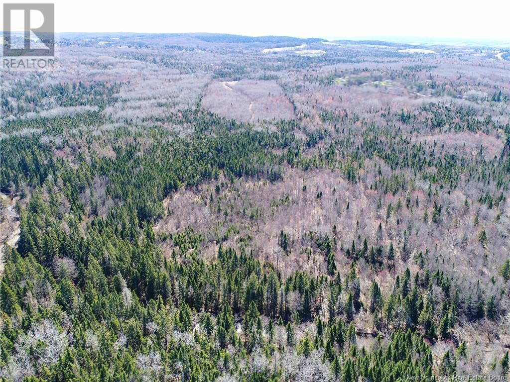 115 Creek Road, Berwick, New Brunswick  E5P 3E6 - Photo 13 - NB117435