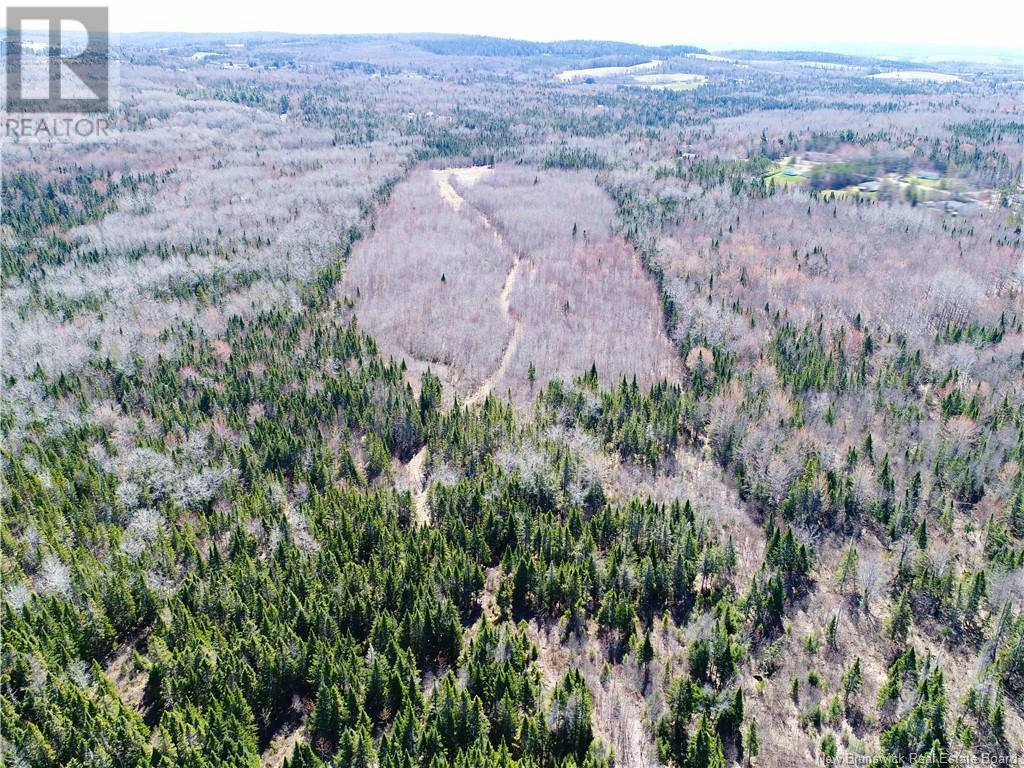 115 Creek Road, Berwick, New Brunswick  E5P 3E6 - Photo 14 - NB117435