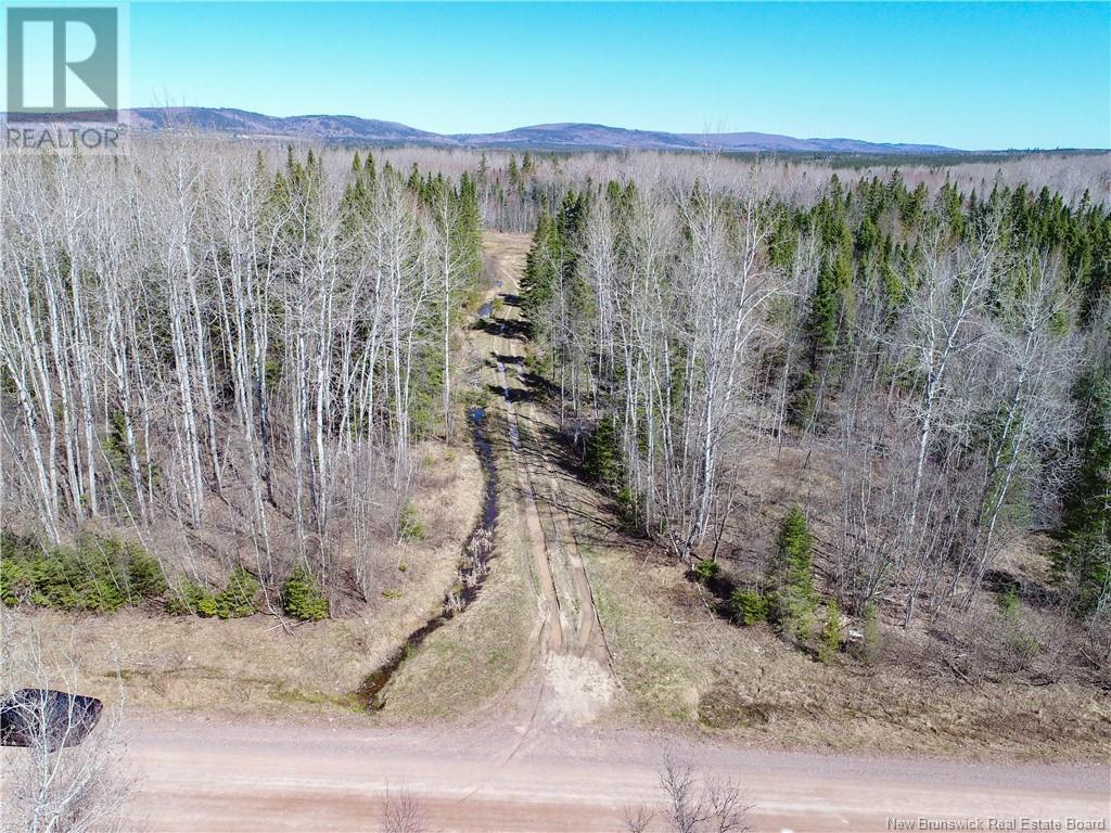 115 Creek Road, Berwick, New Brunswick  E5P 3E6 - Photo 4 - NB117435