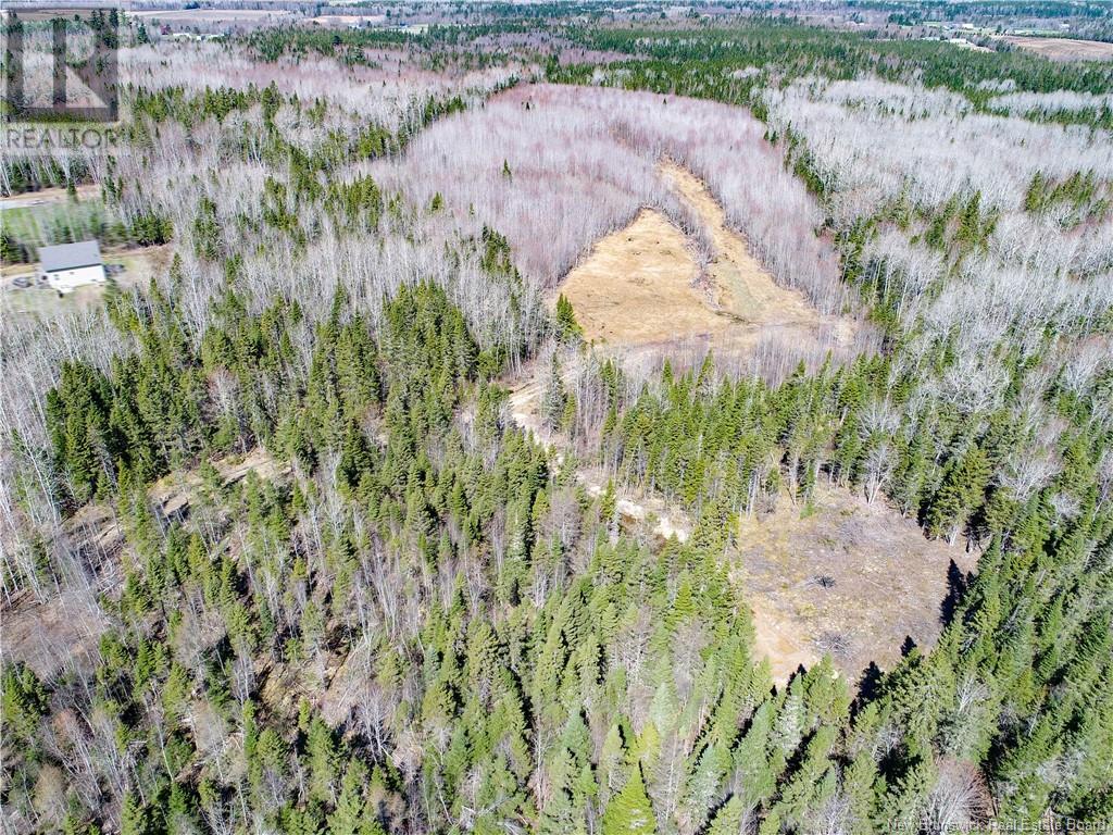 115 Creek Road, Berwick, New Brunswick  E5P 3E6 - Photo 8 - NB117435
