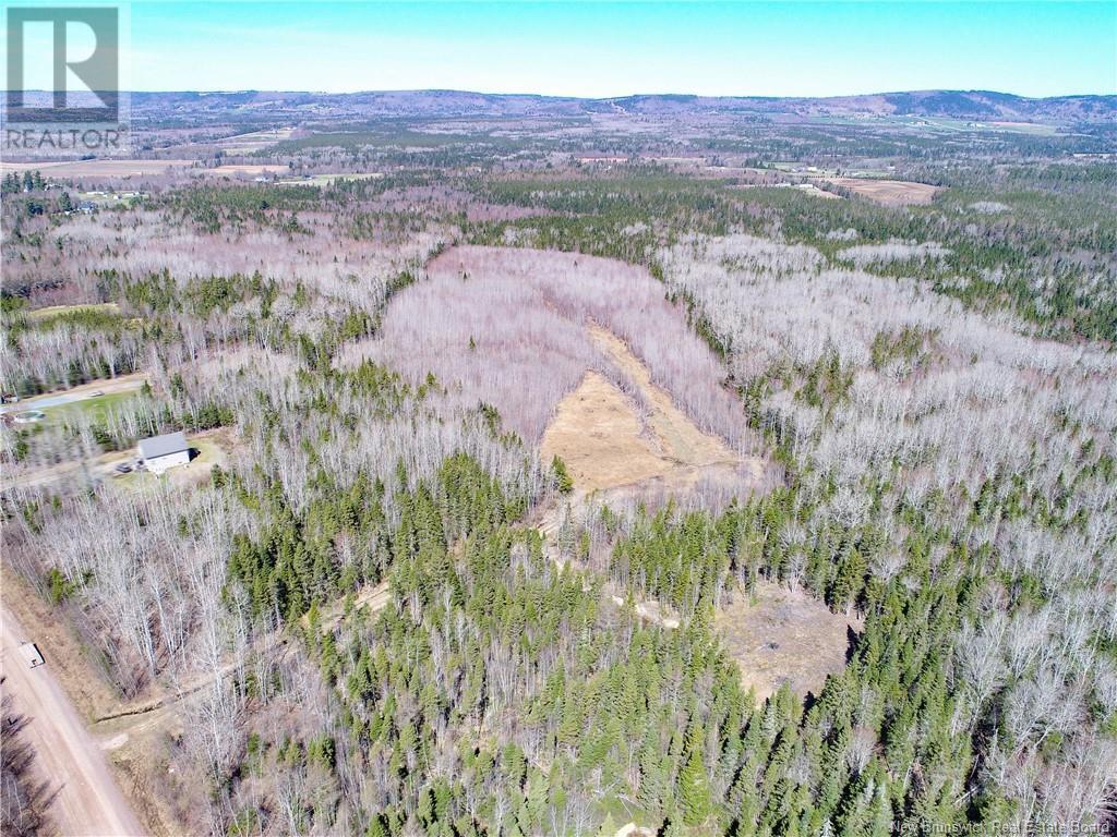 115 Creek Road, Berwick, New Brunswick  E5P 3E6 - Photo 9 - NB117435