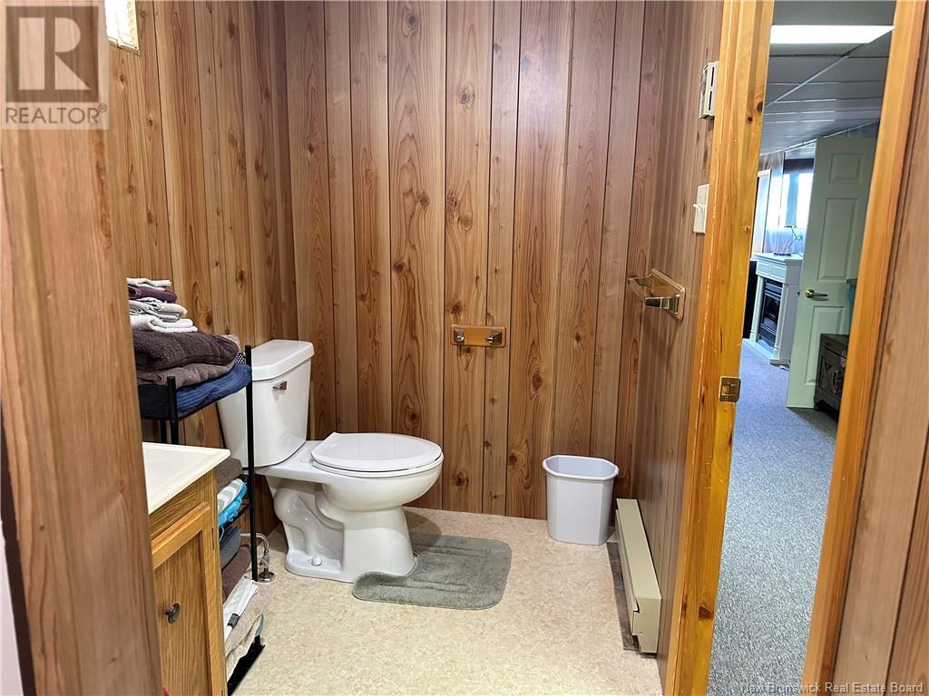 299 Beaulieu Street, Grand-Sault/grand Falls, New Brunswick  E3Y 1E5 - Photo 24 - NB117425