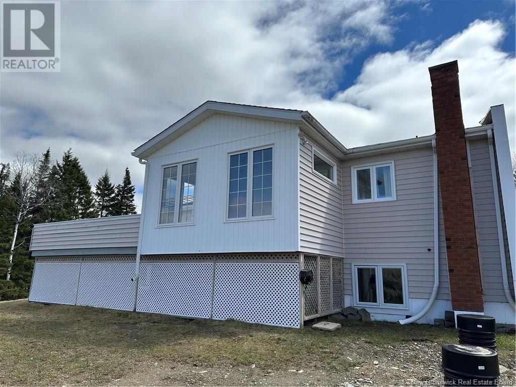 299 Beaulieu Street, Grand-Sault/grand Falls, New Brunswick  E3Y 1E5 - Photo 28 - NB117425