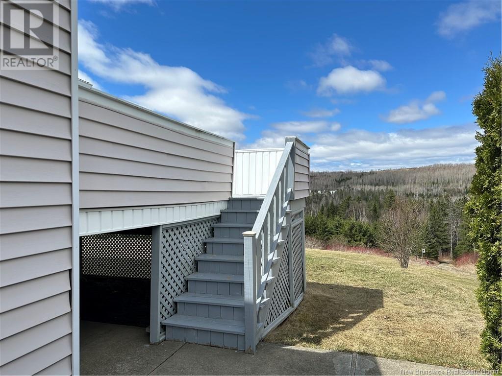 299 Beaulieu Street, Grand-Sault/grand Falls, New Brunswick  E3Y 1E5 - Photo 30 - NB117425