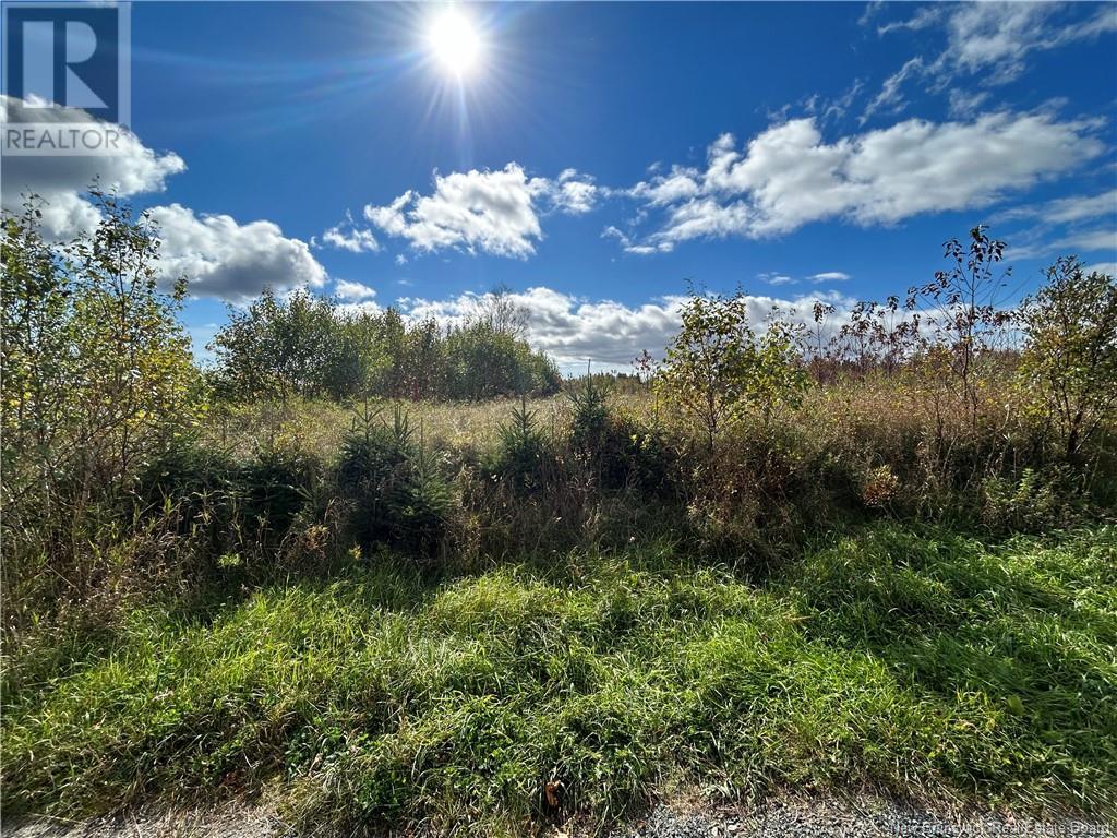Lot Savoie, Saint-Simon, New Brunswick  E8P 2B9 - Photo 7 - NB117449