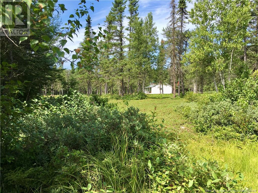 702 Forks Stream Road, New Canaan, New Brunswick  E4Z 5Z8 - Photo 33 - NB117336