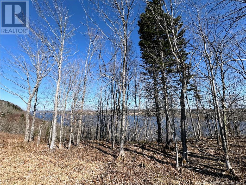 35 Hill Road, Kingston, New Brunswick  E5N 1H2 - Photo 14 - NB117110