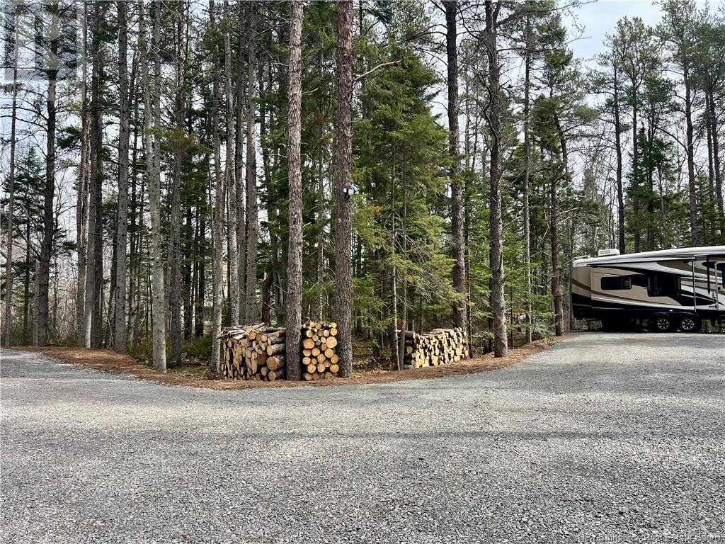 Lot Route 530, Grande-Digue, New Brunswick  E4R 3Z5 - Photo 5 - NB117420