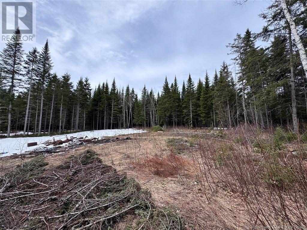 Lot 36 Road, Saint-Quentin, New Brunswick