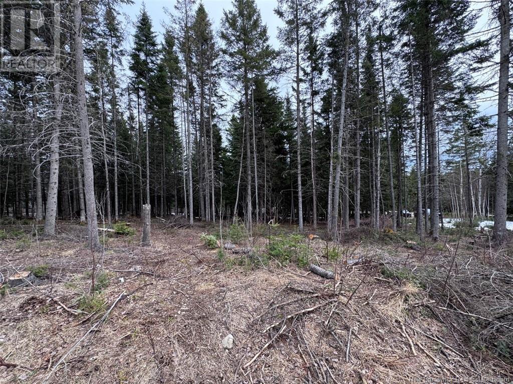 Lot 36 Road, Saint-Quentin, New Brunswick  E8A 2M5 - Photo 2 - NB117451