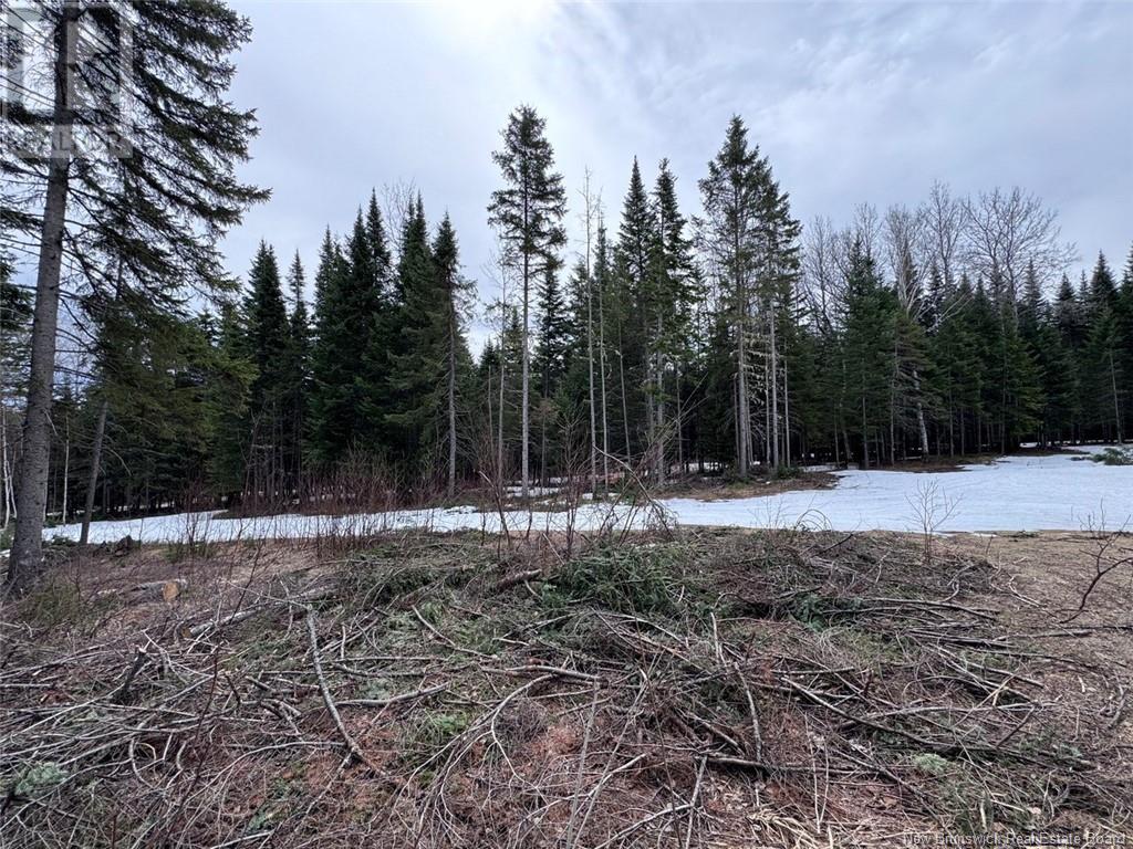 Lot 36 Road, Saint-Quentin, New Brunswick  E8A 2M5 - Photo 3 - NB117451