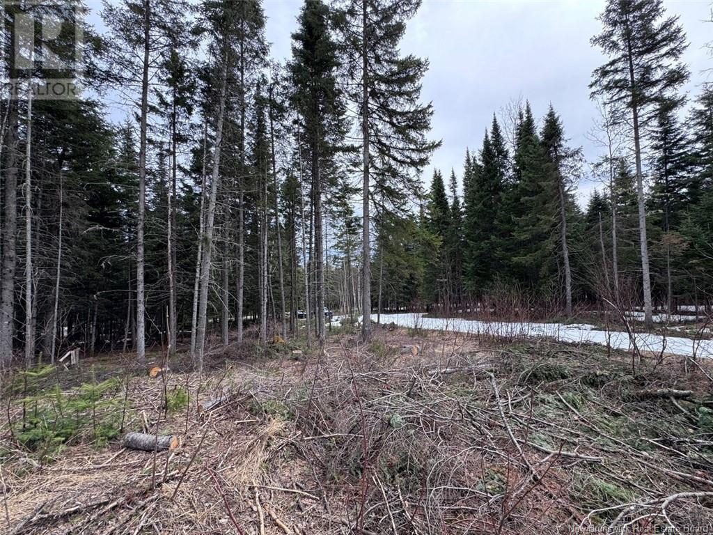 Lot 36 Road, Saint-Quentin, New Brunswick  E8A 2M5 - Photo 4 - NB117451
