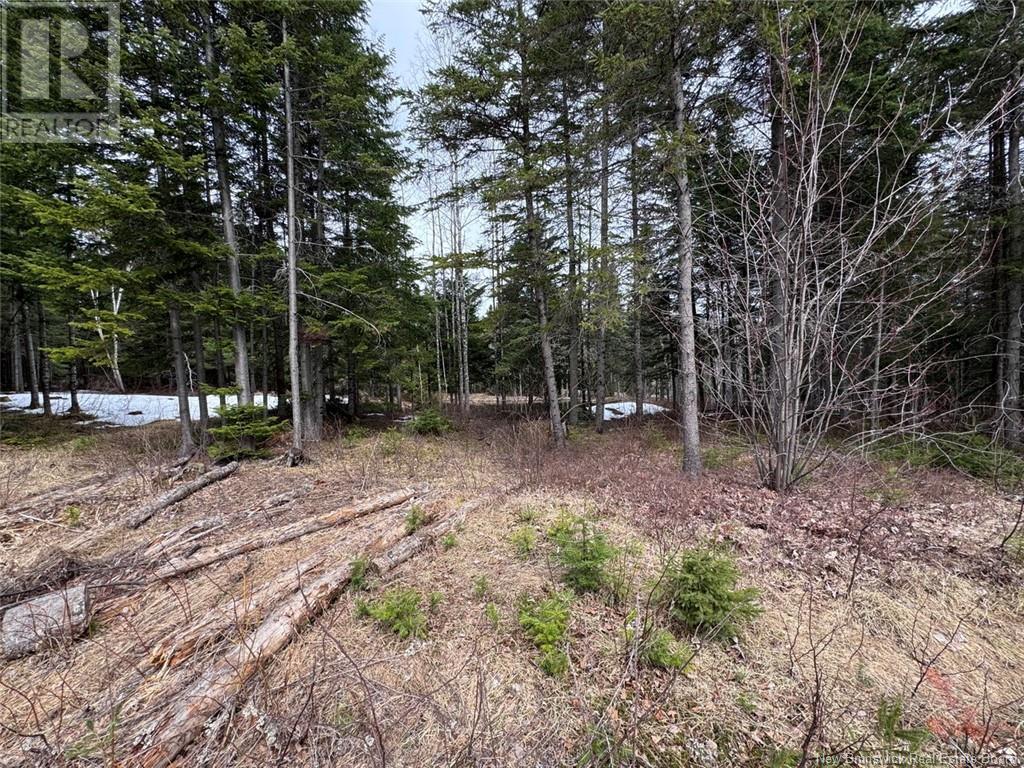 Lot 36 Road, Saint-Quentin, New Brunswick  E8A 2M5 - Photo 5 - NB117451