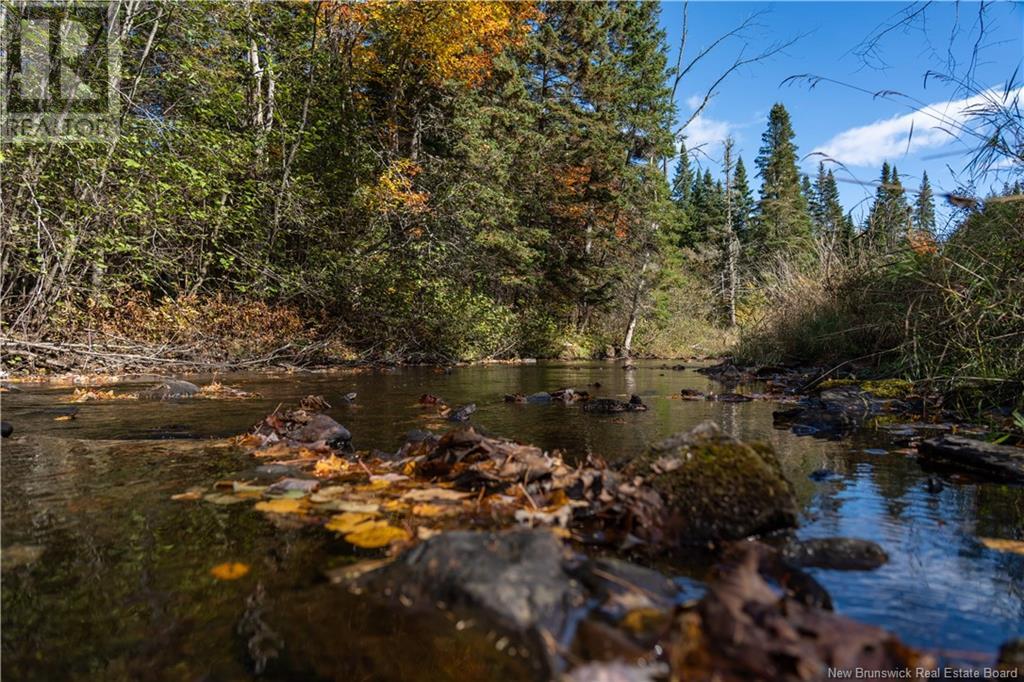 29 Route 116, Upper Salmon Creek, New Brunswick  E4A 1J6 - Photo 47 - NB117436