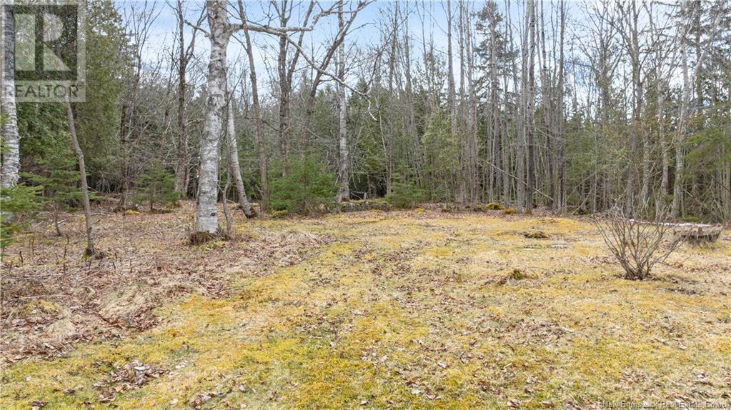 66 Meenans Cove Road, Quispamsis, New Brunswick  E2G 1Y8 - Photo 30 - NB116736
