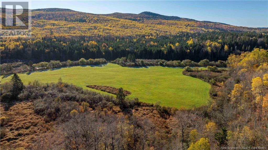 Route 111, Upperton, New Brunswick  E5N 3B7 - Photo 8 - NB117497