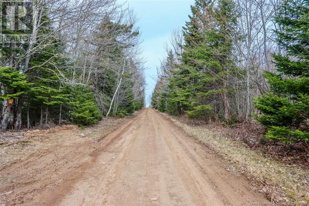 161 Fisher Hill, Bouctouche, New Brunswick  E4T 0A9 - Photo 14 - NB117477