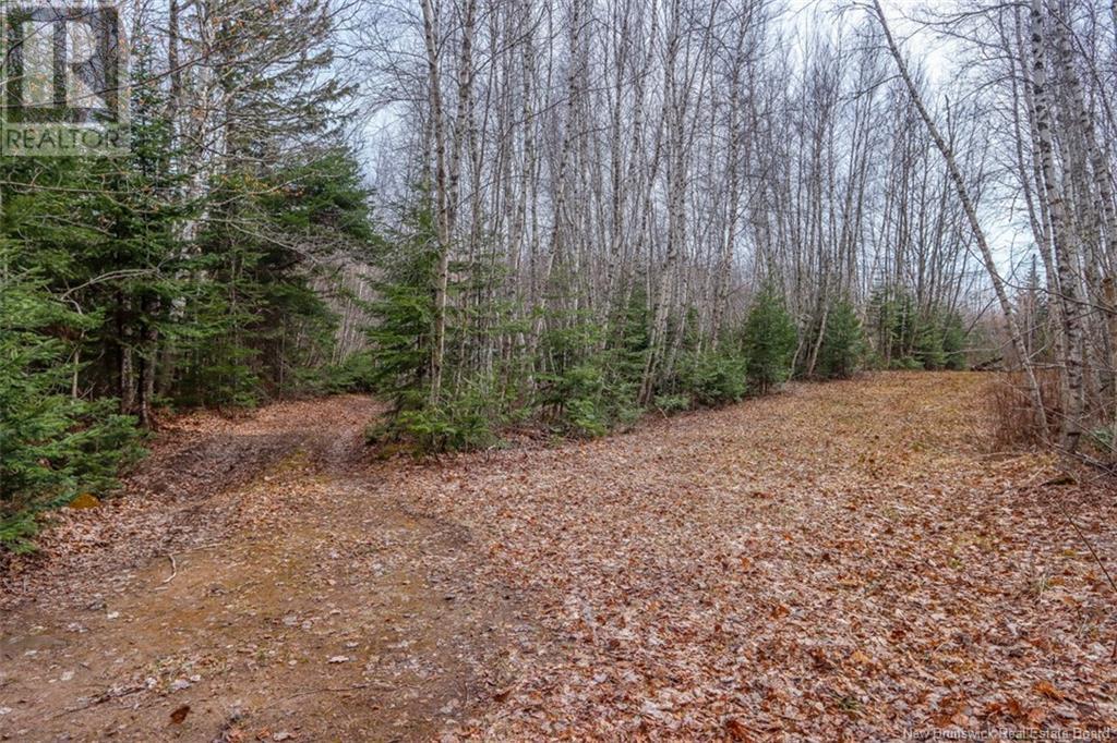 161 Fisher Hill, Bouctouche, New Brunswick  E4T 0A9 - Photo 3 - NB117477