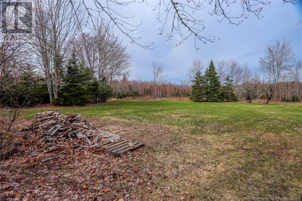 161 Fisher Hill, Bouctouche, New Brunswick  E4T 0A9 - Photo 4 - NB117477