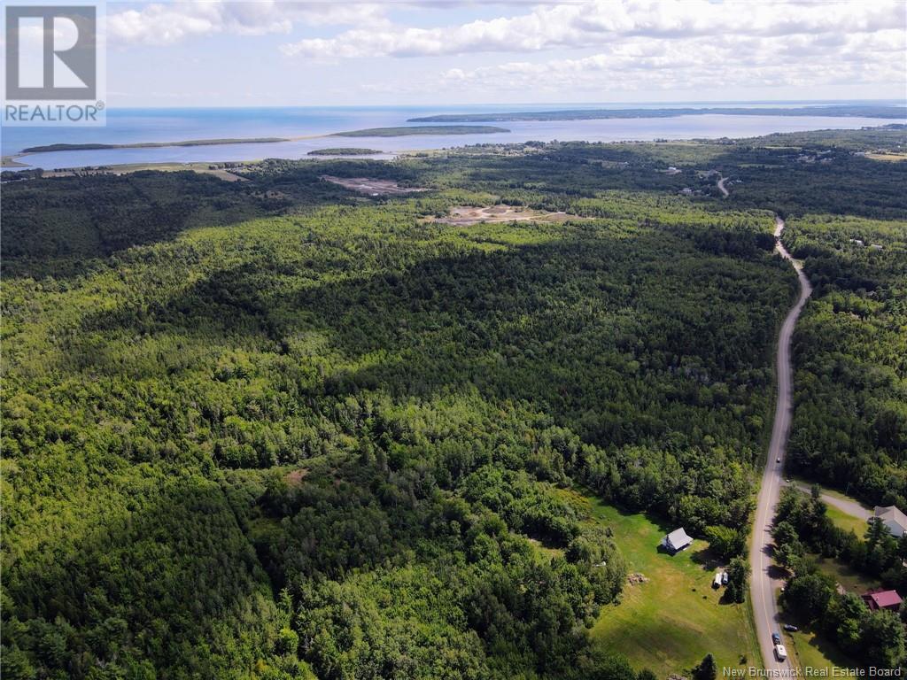 5431 Route 134, Dundas, New Brunswick  E4R 2Z1 - Photo 3 - NB117448