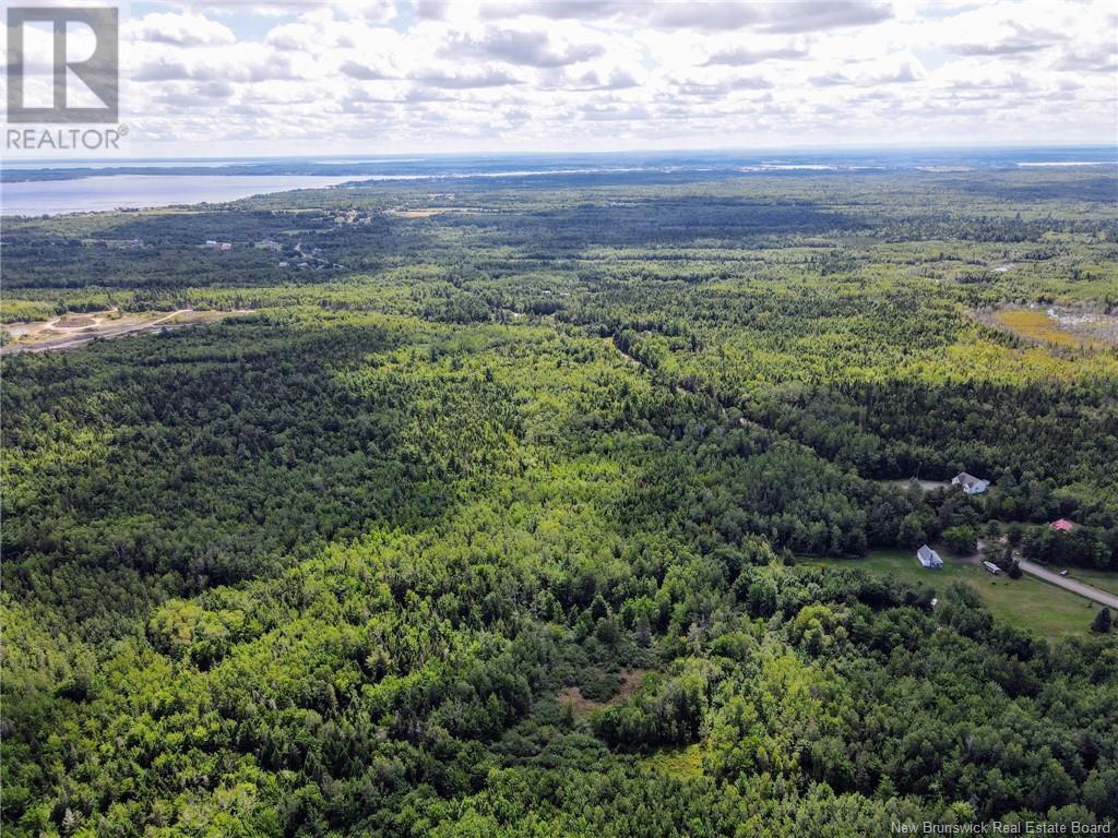 5431 Route 134, Dundas, New Brunswick  E4R 2Z1 - Photo 42 - NB117448