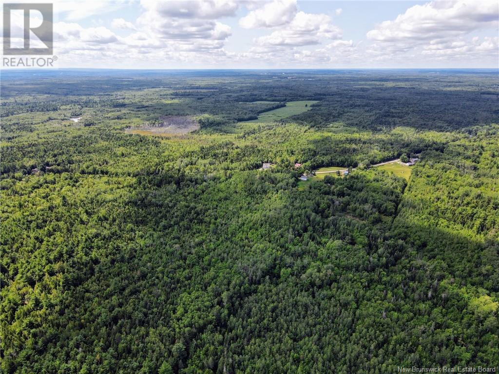 5431 Route 134, Dundas, New Brunswick  E4R 2Z1 - Photo 44 - NB117448