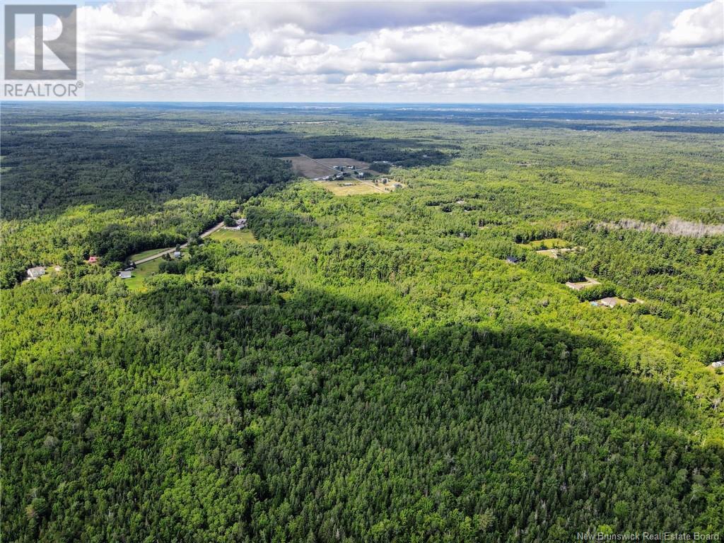 5431 Route 134, Dundas, New Brunswick  E4R 2Z1 - Photo 45 - NB117448