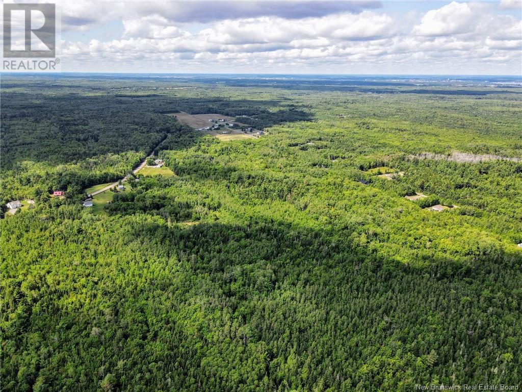 5431 Route 134, Dundas, New Brunswick  E4R 2Z1 - Photo 46 - NB117448