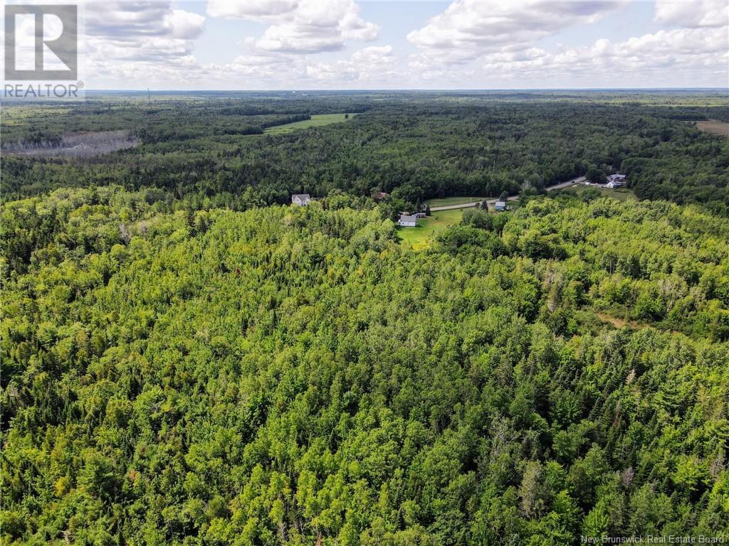 5431 Route 134, Dundas, New Brunswick  E4R 2Z1 - Photo 47 - NB117448