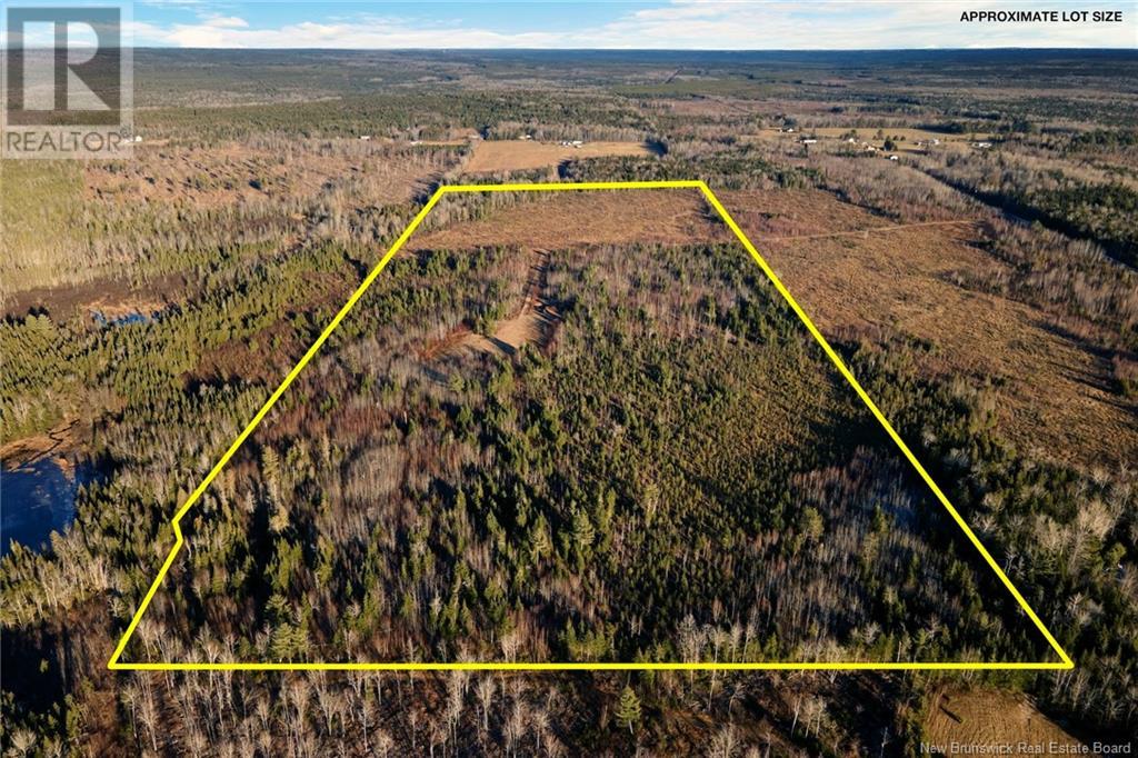 / Ridge Road, Chipman, New Brunswick  O0O 0O0 - Photo 2 - NB117518