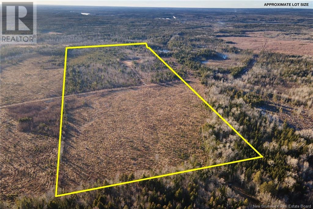 / Ridge Road, Chipman, New Brunswick  O0O 0O0 - Photo 5 - NB117518