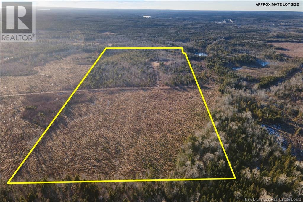 / Ridge Road, Chipman, New Brunswick  O0O 0O0 - Photo 6 - NB117518