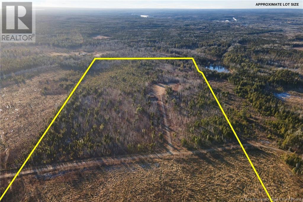 / Ridge Road, Chipman, New Brunswick  O0O 0O0 - Photo 8 - NB117518