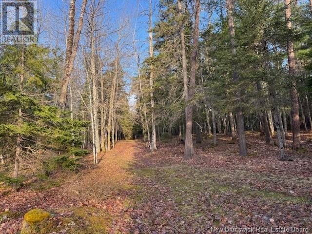93 Freedom Lane, Pollett River, New Brunswick  E4Z 0G6 - Photo 12 - NB117487