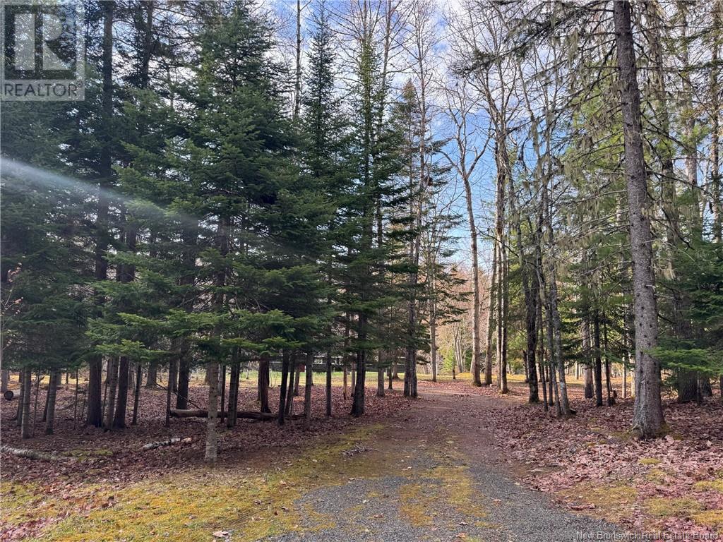 93 Freedom Lane, Pollett River, New Brunswick  E4Z 0G6 - Photo 13 - NB117487