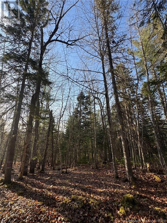 93 Freedom Lane, Pollett River, New Brunswick  E4Z 0G6 - Photo 14 - NB117487