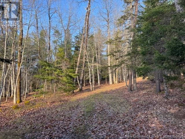 93 Freedom Lane, Pollett River, New Brunswick  E4Z 0G6 - Photo 19 - NB117487