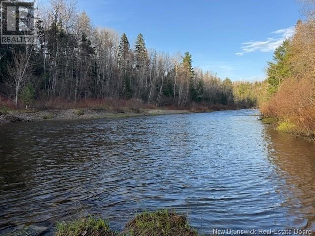 93 Freedom Lane, Pollett River, New Brunswick  E4Z 0G6 - Photo 2 - NB117487