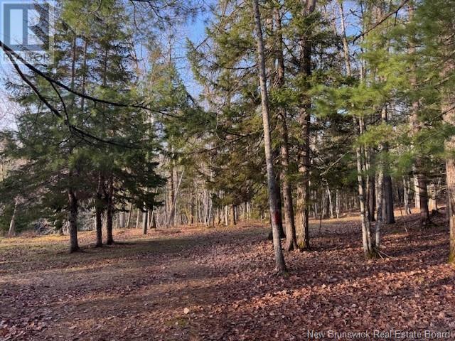 93 Freedom Lane, Pollett River, New Brunswick  E4Z 0G6 - Photo 20 - NB117487