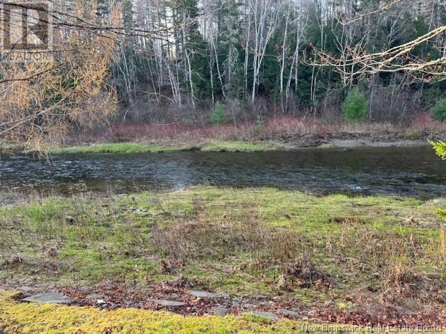 93 Freedom Lane, Pollett River, New Brunswick  E4Z 0G6 - Photo 3 - NB117487