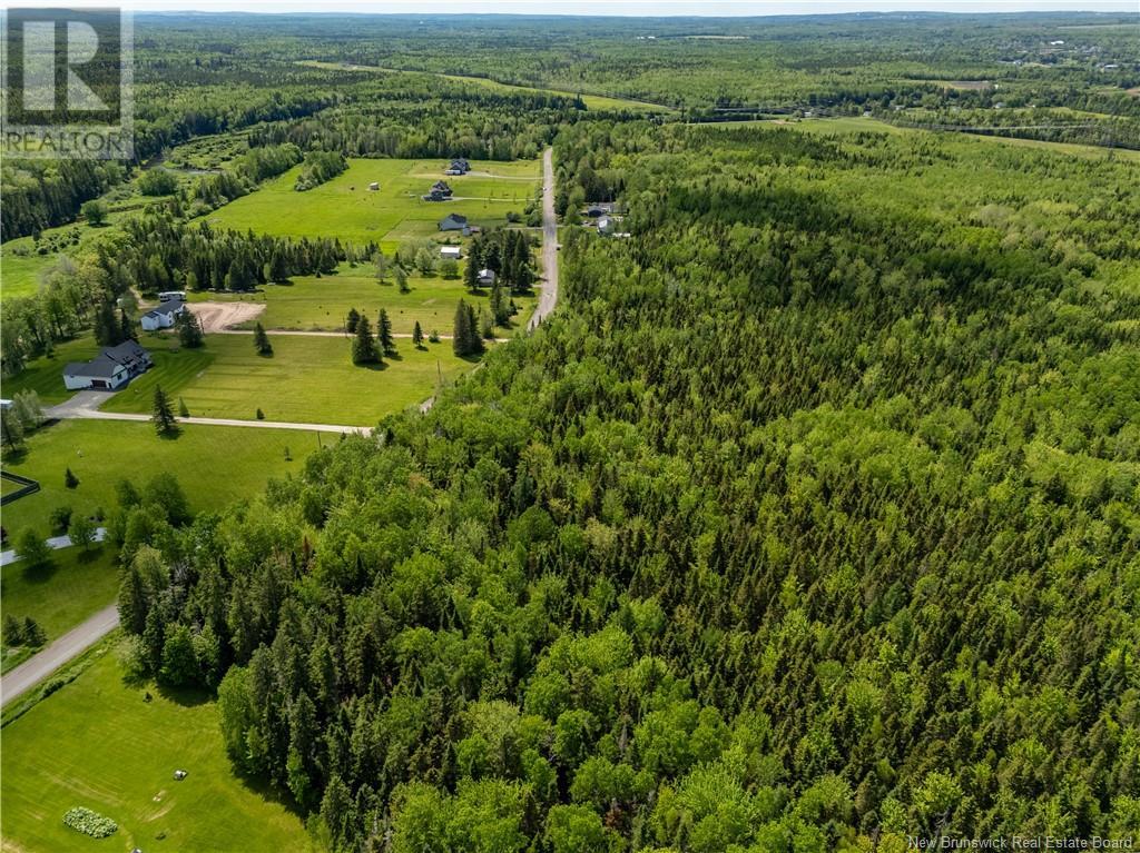 Lot 16 Mollins Road, Colpitts Settlement, New Brunswick  E4J 2X4 - Photo 6 - NB117546